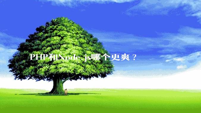 PHP和Node.js哪个更爽?